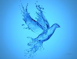 aqua是什么意思