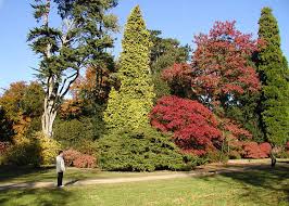 arboretum是什么意思