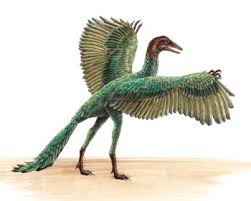 archaeopteryx是什么意思