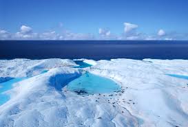 Arctic是什么意思