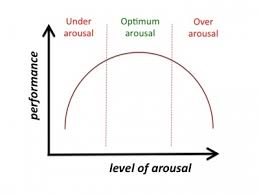 arousal是什么意思