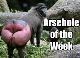 arsehole是什么意思