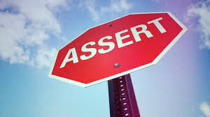 assert是什么意思
