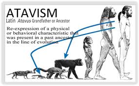 atavistic是什么意思