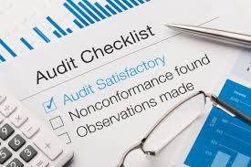 auditing是什么意思