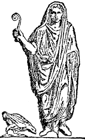 augur是什么意思