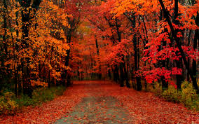 autumn是什么意思