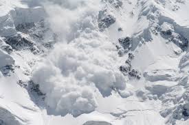 avalanche是什么意思