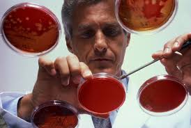 bacteriologist是什么意思
