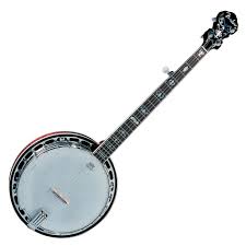 banjo是什么意思