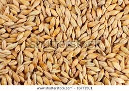 barleycorn是什么意思