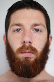 bearded是什么意思