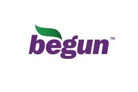 begun是什么意思