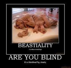 bestiality是什么意思