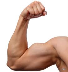 bicep是什么意思