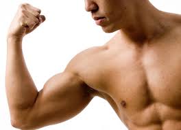 biceps是什么意思