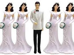 bigamist是什么意思