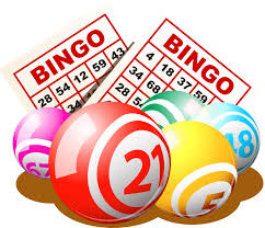 bingo是什么意思