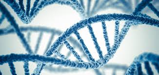 bioethics是什么意思