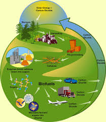 biofuel是什么意思
