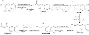 biologically是什么意思