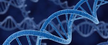 biology是什么意思