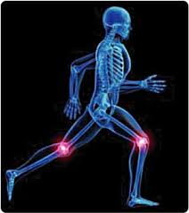 biomechanics是什么意思