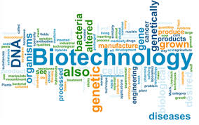 biotechnology是什么意思