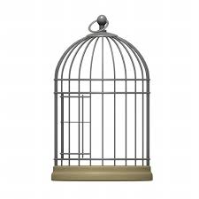 birdcage是什么意思