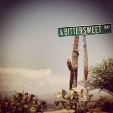 bittersweet是什么意思