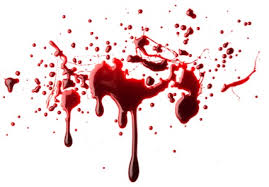 bleed是什么意思