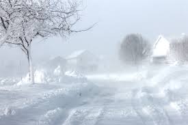 blizzard是什么意思