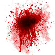 blood是什么意思