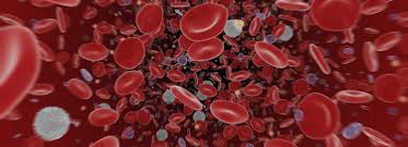 bloodstream是什么意思