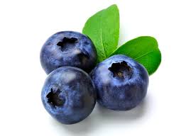 blueberry是什么意思