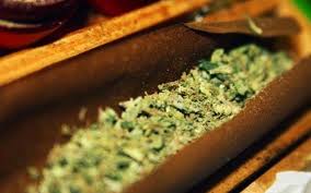 blunt是什么意思