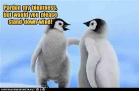 bluntness是什么意思