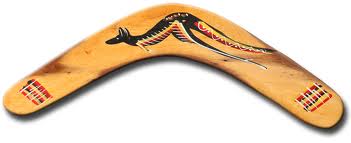 boomerang是什么意思