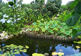 botanic是什么意思