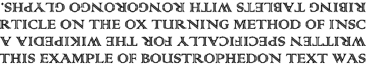 boustrophedon是什么意思