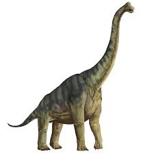brachiosaurus是什么意思