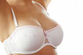 breast是什么意思