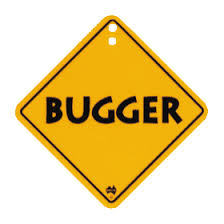 bugger是什么意思