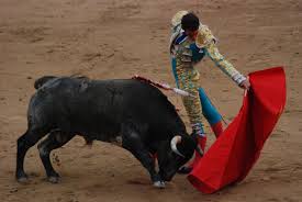 bullfight是什么意思