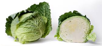 cabbage是什么意思