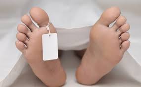 cadaver是什么意思