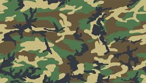 camouflage是什么意思