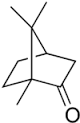 camphor是什么意思
