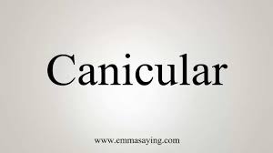 canicular是什么意思