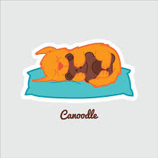 canoodle是什么意思